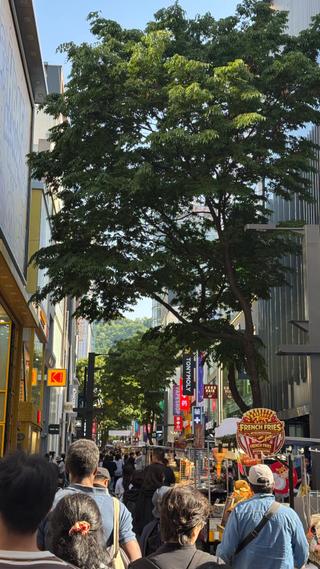 Traveler photo 4