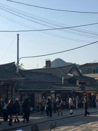 Traveler photo 12