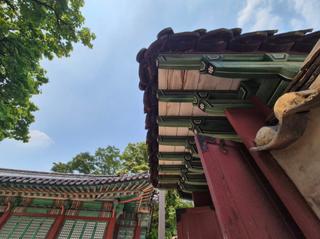 Traveler photo 1